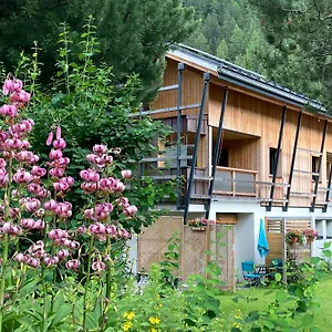 Walser A 13 Kms Chamonix France Appartement